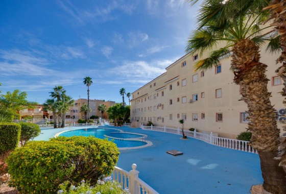 Revente - Appartement - Torrevieja - San Luis
