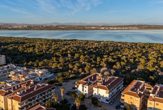 Revente - Appartement - Torrevieja - La Siesta