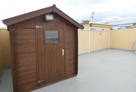 Segunda Mano - Apartamento - Algorfa