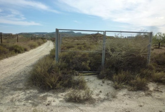 Resale - finca - Orihuela Costa - Desamparados-Hurchillo-Torremendo