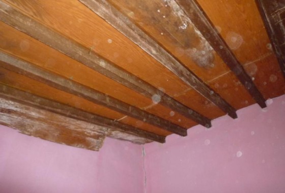 Resale - finca - Orihuela Costa - Desamparados-Hurchillo-Torremendo