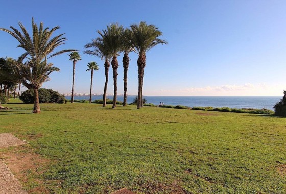 Revente - Appartement - Torrevieja - La veleta