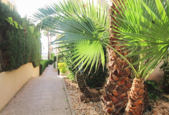 Resale - Apartment - Torrevieja - Costa Blanca