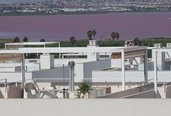 Revente - Appartement - Torrevieja - Los balcones