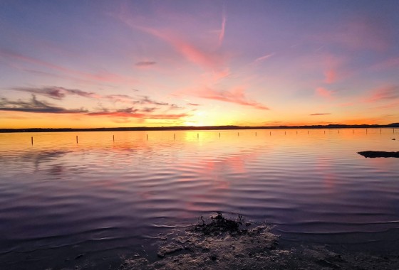 Resale - Townhouse - El Chaparral