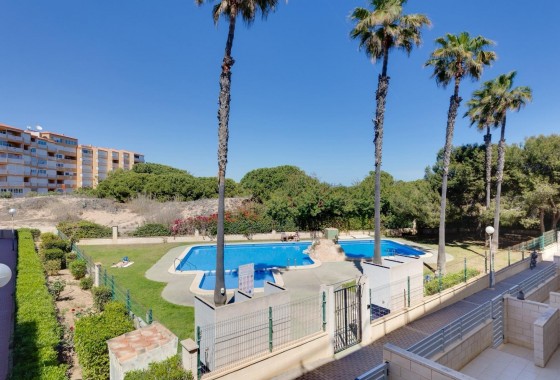Segunda Mano - Apartamento - Torrevieja - La Mata pueblo