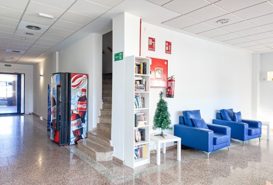 Segunda Mano - Apartamento - Orihuela Costa - Cabo Roig