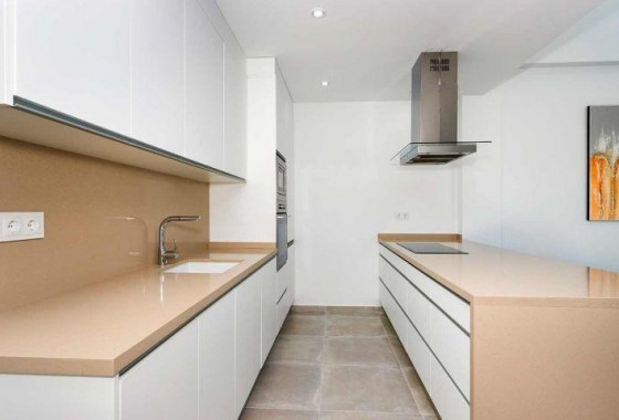 Nouvelle construction - Quad House - Daya Nueva - CENTRO