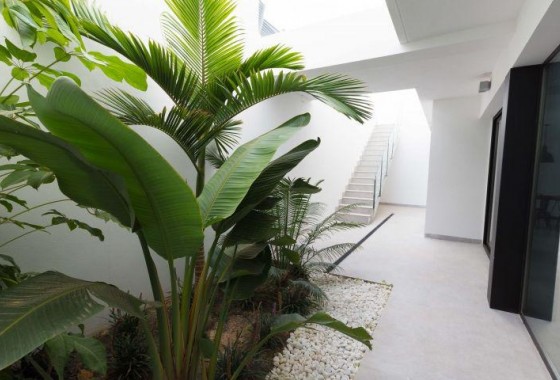 Nouvelle construction - Villa - Finestrat - Campana garden