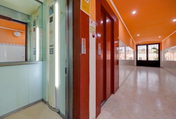 Revente - Appartement - Torrevieja - El Acequión - Los Náufragos