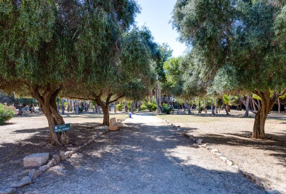 Revente - Appartement - Torrevieja - El Acequión - Los Náufragos