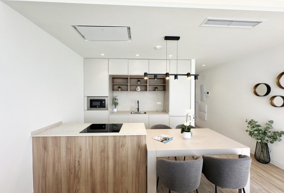 Nouvelle construction - Villa - Pilar de la Horadada - Torre de la Horadada