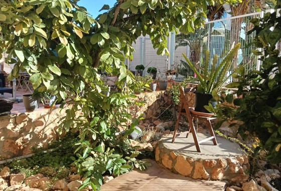 Revente - Appartement - Los Montesinos - La herrada