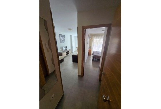 Resale - Apartment - Torrevieja - torrevieja