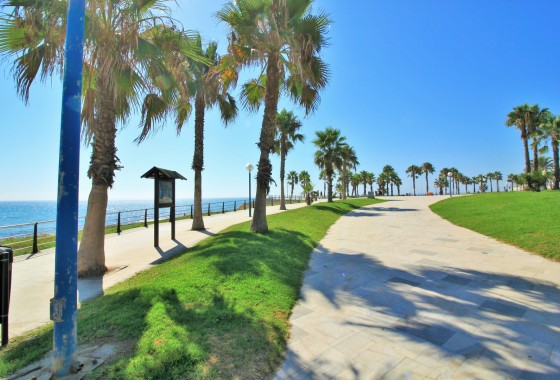 Resale - Apartment - Playa Flamenca