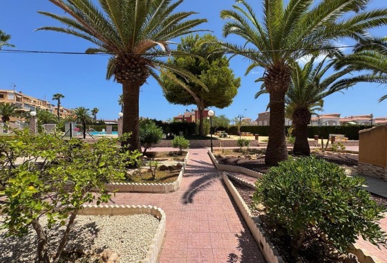 Revente -  - Torrevieja - torrevieja