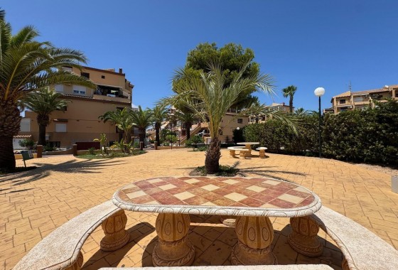 Revente -  - Torrevieja - torrevieja