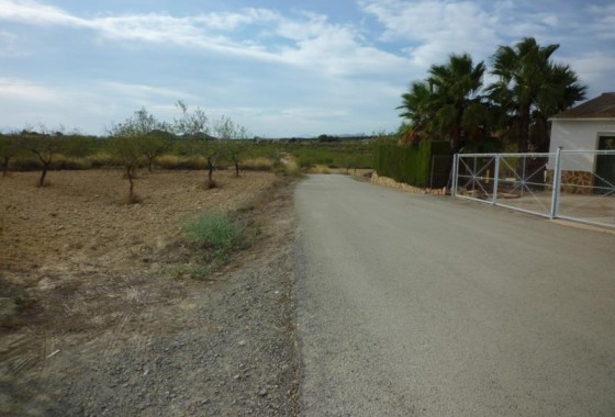 Revente - finca - Orihuela Costa - Desamparados-Hurchillo-Torremendo