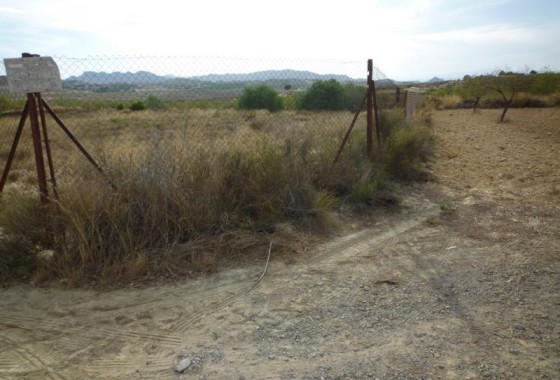 Revente - finca - Orihuela Costa - Desamparados-Hurchillo-Torremendo