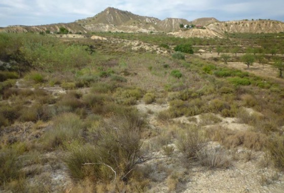 Revente - finca - Orihuela Costa - Desamparados-Hurchillo-Torremendo