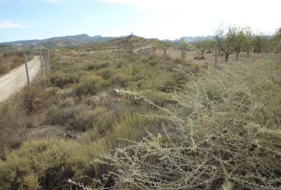 Revente - finca - Orihuela Costa - Desamparados-Hurchillo-Torremendo