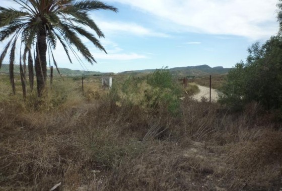 Revente - finca - Orihuela Costa - Desamparados-Hurchillo-Torremendo