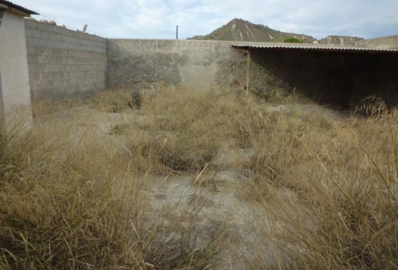 Revente - finca - Orihuela Costa - Desamparados-Hurchillo-Torremendo