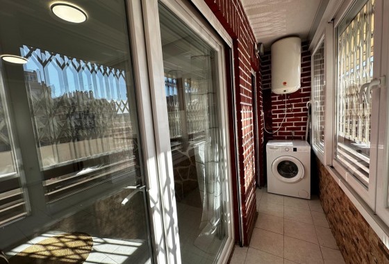 Segunda Mano - Apartamento - Torrevieja - torrevieja