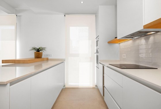 Obra nueva - Chalet - Benijofar - Centro