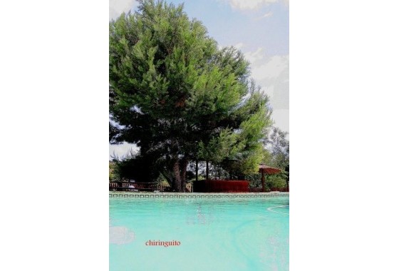 Revente - Villa - Gea Y Truyols