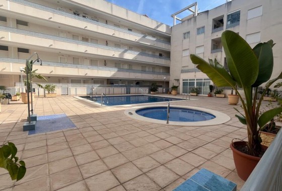 Revente - Appartement - Almoradí
