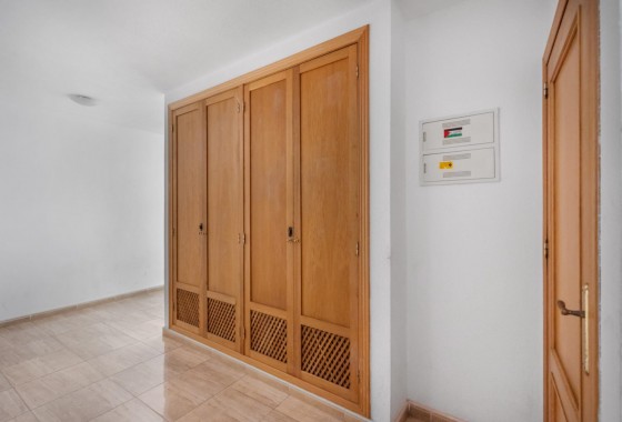 Revente - Appartement - Torrevieja - torrevieja