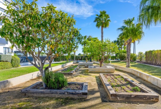 Revente - Apartment / Flat * - Orihuela Costa - Los Dolses*