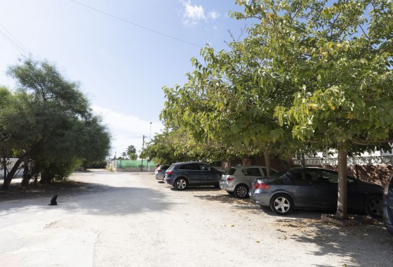 Revente - Maison de ville - Torrevieja