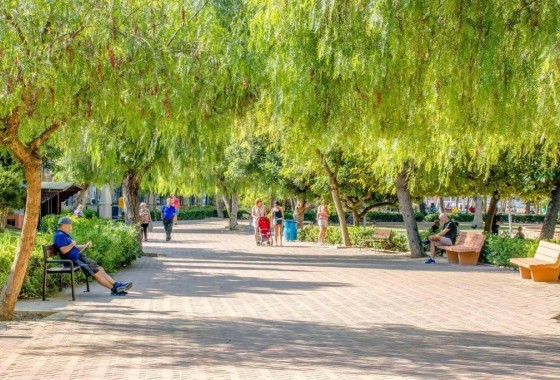 Revente - Appartement - Torrevieja - Centro