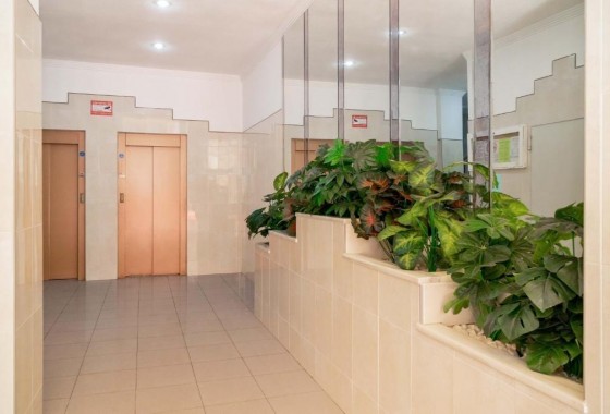 Revente - Appartement - Torrevieja - Centro