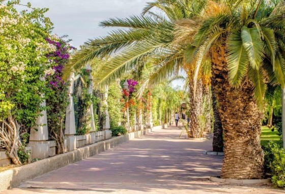 Revente - Appartement - Torrevieja - Centro