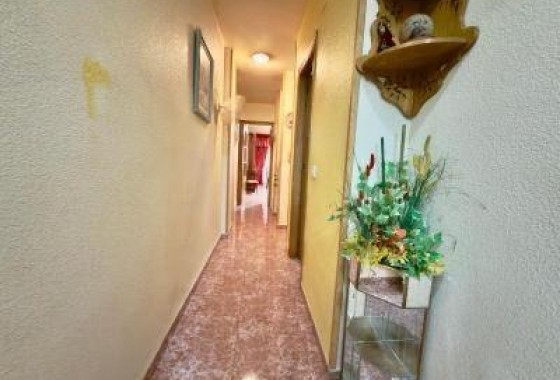 Revente - Appartement - Torrevieja - Acequion