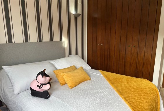 Segunda Mano - Apartamento - Punta Prima