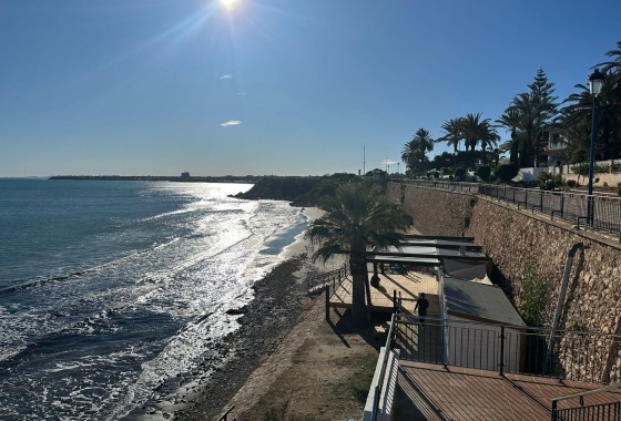 Segunda Mano - Apartamento - Punta Prima