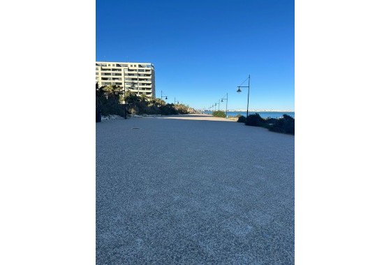 Segunda Mano - Apartamento - Punta Prima