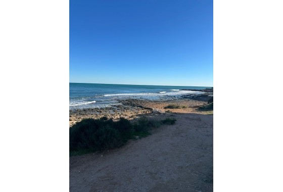 Segunda Mano - Apartamento - Punta Prima