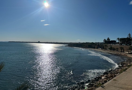 Segunda Mano - Apartamento - Punta Prima