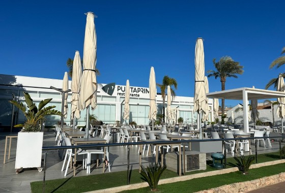 Segunda Mano - Apartamento - Punta Prima