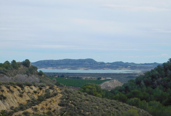 Resale - Finca / Country Property - Torremendo