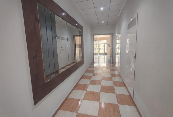 Revente - Appartement - Torrevieja - Estacion de autobuses