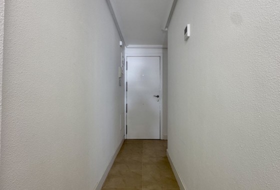 Segunda Mano - Apartamento - Torrevieja