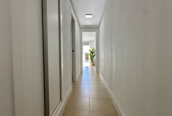 Segunda Mano - Apartamento - Torrevieja