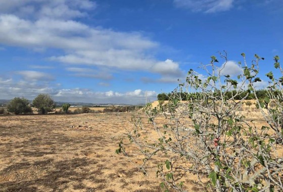 Revente - Country Property - Los Montesinos