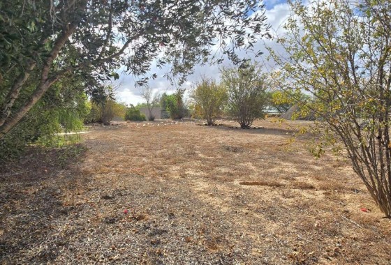 Revente - Country Property - Los Montesinos